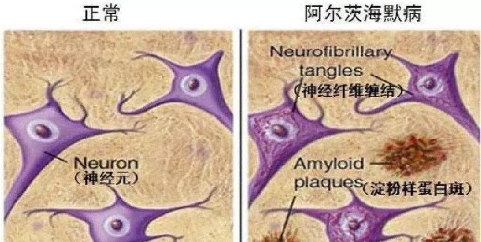 1631697170131728.jpg 640.webp (3).jpg