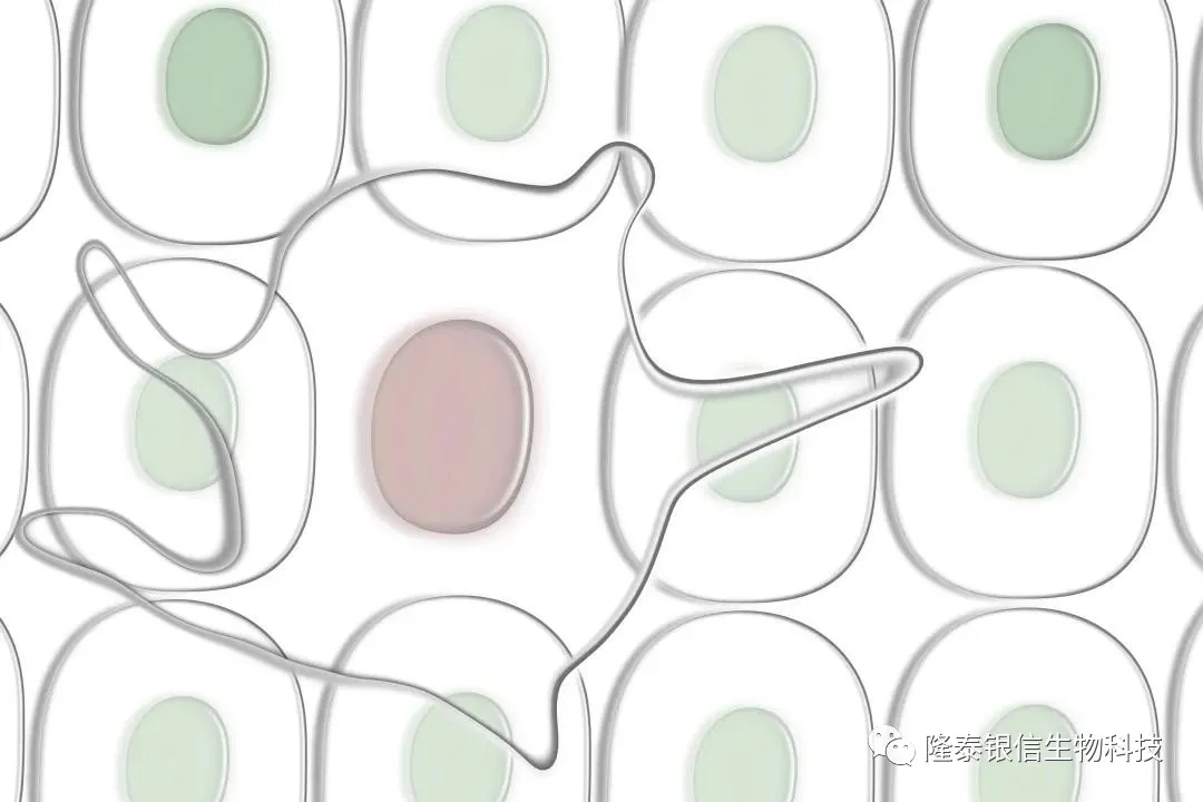 1631697454128243.jpg 640.webp.jpg